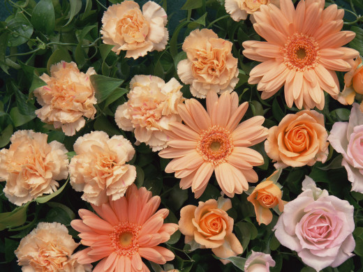 425984 (a): :1600x1200